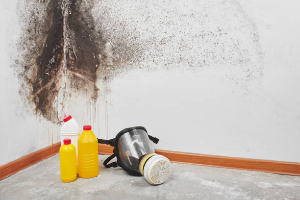 Marion, AL Mold Removal Company