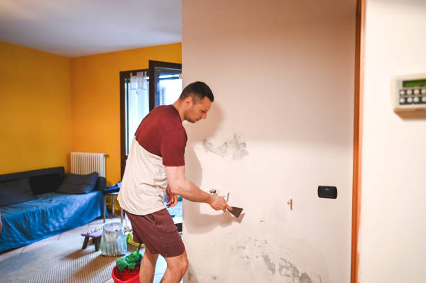 Best Mold Removal Company Near Me  in Marion, AL